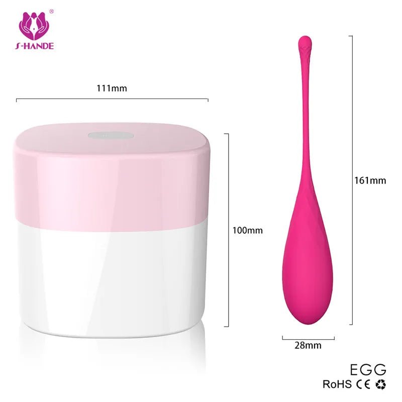Kegel device with USB charging cable included