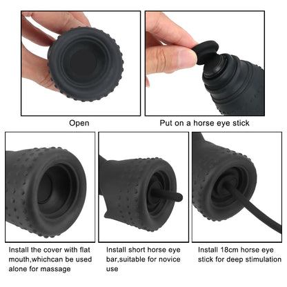 Size comparison of adult plug with scale reference