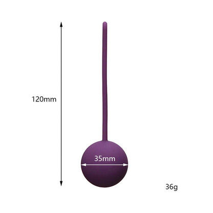 Kegel device with USB charging cable included