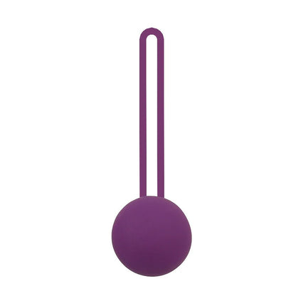 App or remote control for kegel trainer