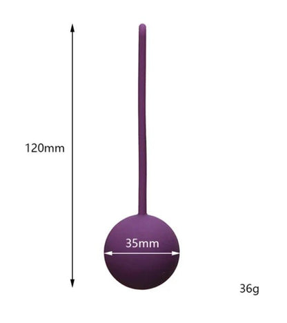 App or remote control for kegel trainer