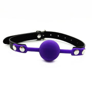 Ball Gag with Adjustable Buckle Strap