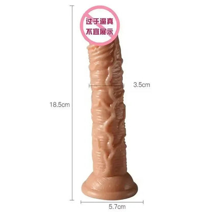 Side profile of 5 colours small transparent suction cup jelly toy for fun showing shape and proportions