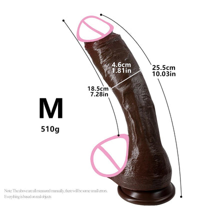 Overhead flat-lay of adult plug
