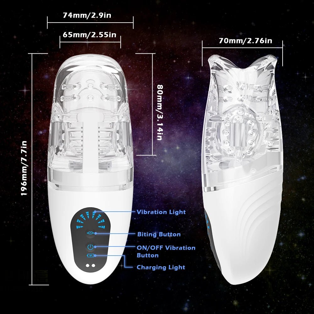 Size comparison of vibrator with scale reference